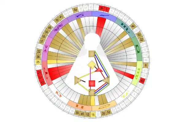 Rave Biology Martin Grassinger Seminar